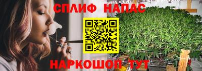 крисы Ливны