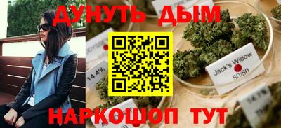 крисы Ливны